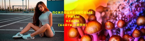 прущая мука Вязники