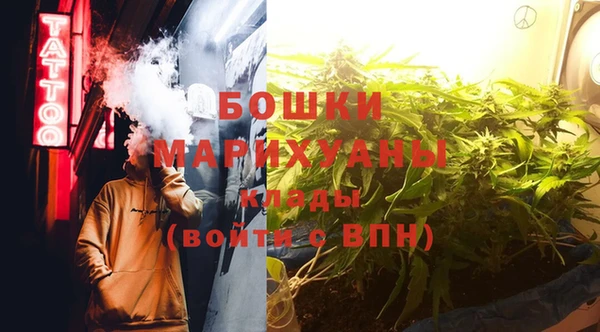 гидра Снежногорск