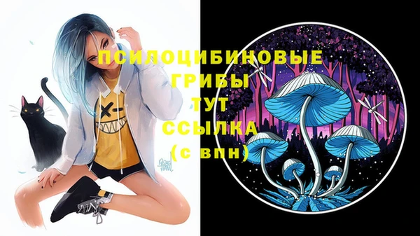 спайс Слюдянка