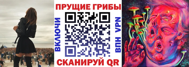 Псилоцибиновые грибы MAGIC MUSHROOMS  Санкт-Петербург 